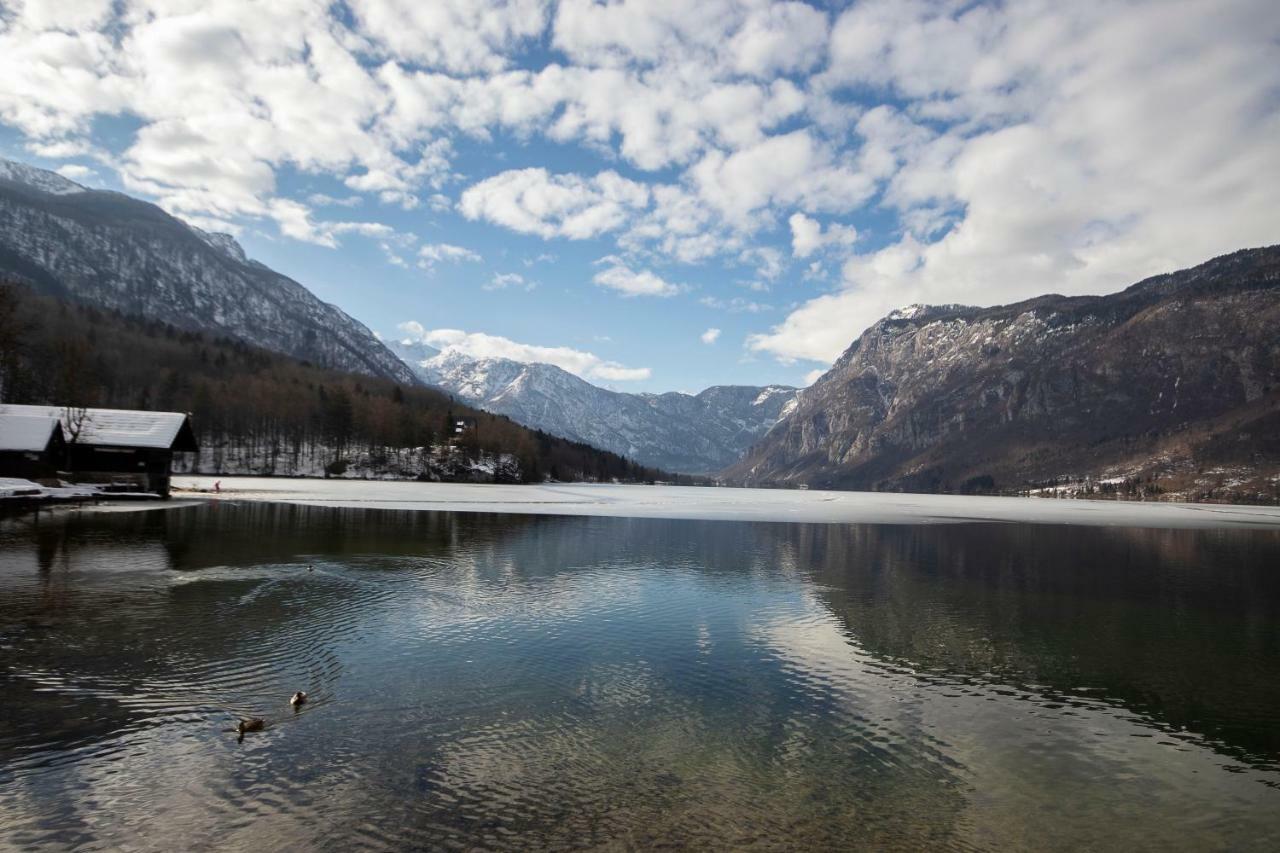 Bright Loft Near Bohinj Lake Buitenkant foto
